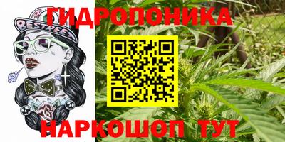 стаф Волжский