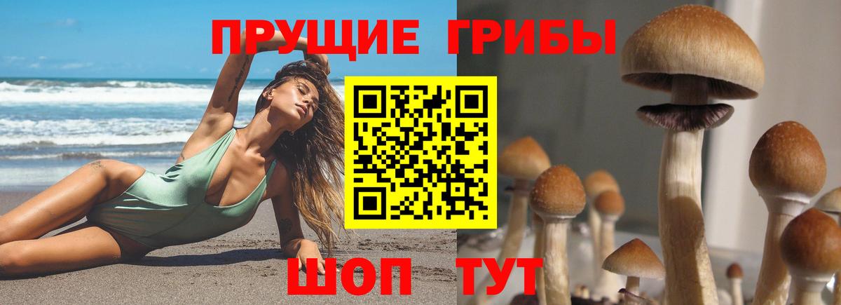 Псилоцибиновые грибы мицелий Липецк